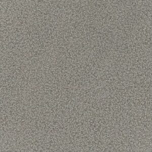 Giles-Carpets-Auckland-Feltex -Carpet-ruby_bay-stone-
