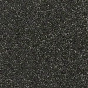 Giles-Carpets-Auckland-Lifestyle_Flooring-Sahara-Tundra