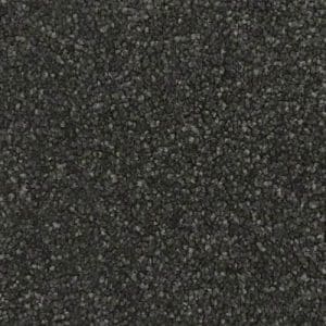 Giles-Carpets-Auckland-Lifestyle_Flooring-Sahara-Tundra