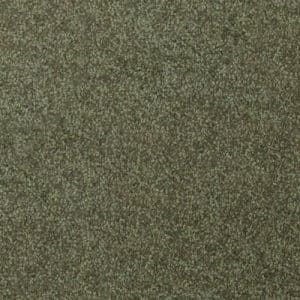 Giles-Carpets-Auckland-Bremworth-Trojan_Twist-Olive_Green